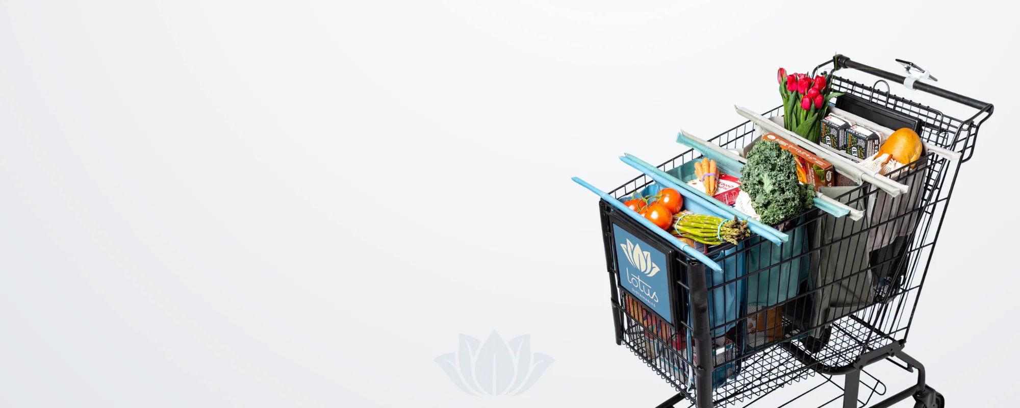 Shop Smarter, Less Plastic